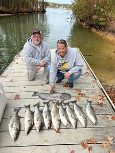A group of nine striped bass caught on a fishing trip in South Carolina.