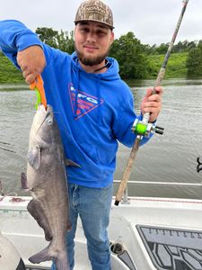 Channel Catfish caught in Mount Pleasant
