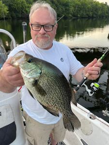 A solo angler holding a crappie fish catch in Mount Pleasant