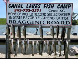 17 striped bass caught fishing in SC