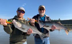 Two striped bass caught while fishing in SC