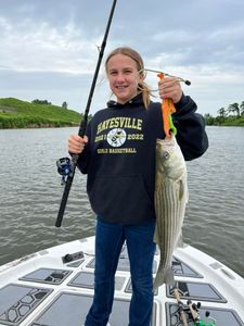 Striped bass caught in SC