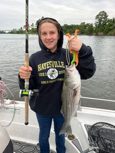 Striped bass caught in Mount Pleasant