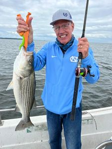 Striped bass caught while fishing in Mount Pleasant