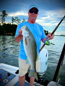 Striped bass fishing in Mount Pleasant