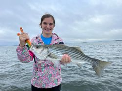 Striped bass caught in Mount Pleasant
