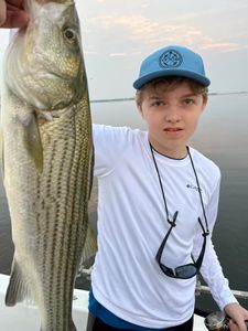 A fisherman holding a striped bass in Mount Pleasant