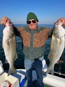 Two striped bass caught fishing in South Carolina