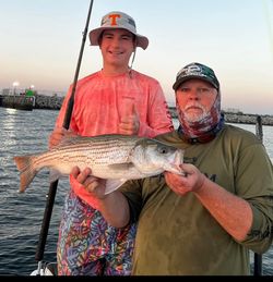 Wiper (Hybrid striped bass) fish caught in SC