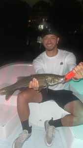A single person fishing in Tampa
