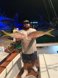 2 fishing rods with a large catch in the waters of Tampa, Florida
