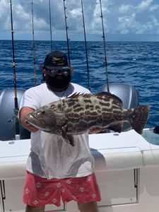 Photograph of a 24-inch black grouper caught while fishing in FL