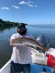 A lone redfish, 22 inches long, caught while fishing in FL.