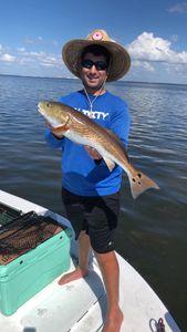 A photo of a redfish caught while fishing in Tampa.