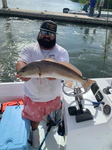 Redfish catch in Tampa, Florida