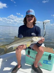 Snook fish caught by two people in Tampa