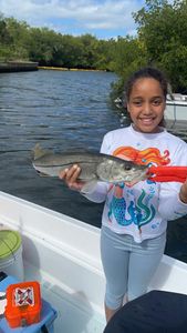 Snook fishing in FL