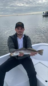 Spotted weakfish, 19 inches, caught fishing in Tampa