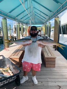Two fish caught in Tampa while fishing