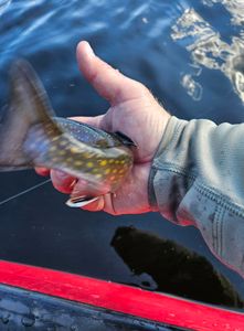 A fishing adventure in ME