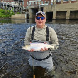 Angling for a Shad in Jackman