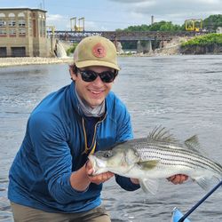 Wiper (hybrid striped bass) caught while fishing in ME