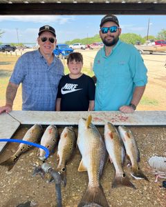 3 redfish caught in TX