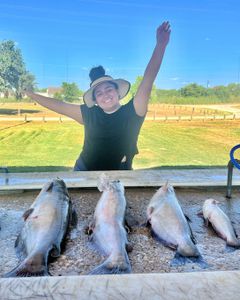 4 channel catfish caught in Elmendorf