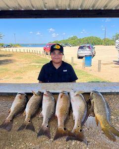 6 redfish caught in TX