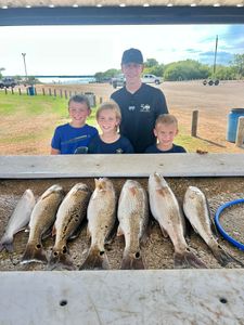 7 blue catfish caught while fishing in TX