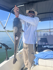 Nice catfish caught using deep sea jigging techniques on a perfect clear day!