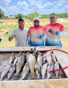 6 redfish and blue catfish, caught by 3 people in Elmendorf