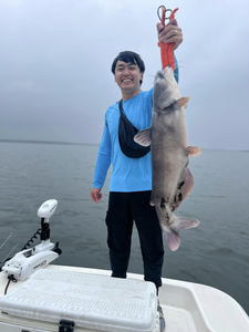 Blue Catfish caught in Elmendorf