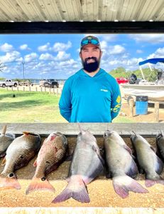 A fisherman with 5 blue catfish caught at Elmendorf