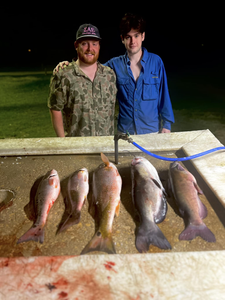 5 blue catfish caught fishing in TX