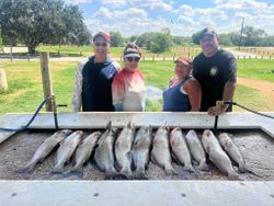 7 channel catfish caught fishing in TX