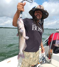 Channel Catfish caught while fishing in Elmendorf
