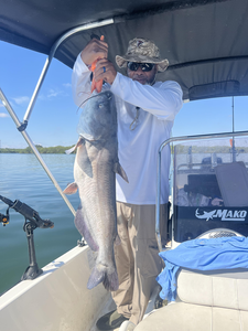 Nice channel catfish landed using deep sea jigging in clear conditions!