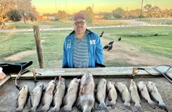 Channel Catfish caught while fishing in Elmendorf