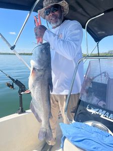 Channel catfish caught fishing in TX
