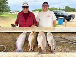 Four large fish including blue catfish and redfish displayed on cleaning table at Elmendorf TX fishing location