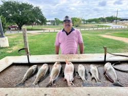 Seven redfish catch displayed on cleaning station in Elmendorf TX