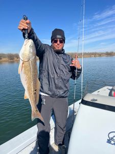 Angler holding caught redfish on fishing boat in Elmendorf TX
