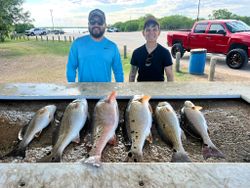 Six redfish displayed on cleaning table after successful fishing trip in Elmendorf TX