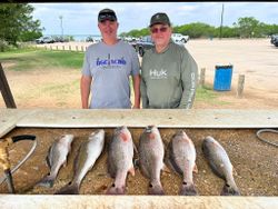 Six redfish displayed on cleaning table at fishing location in Elmendorf TX