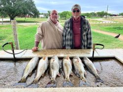 Six redfish displayed on cleaning station after successful fishing trip in Elmendorf Texas