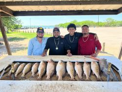 Successful redfish fishing trip in Elmendorf TX with multiple redfish displayed on cleaning station