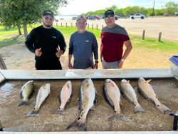 Seven redfish laid out on cleaning table at Elmendorf TX fishing location