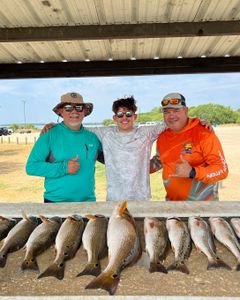 5 redfish caught in TX on a fishing trip