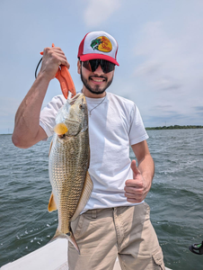 1 person holds a fishing rod in TX